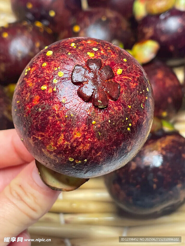 新鲜山竹