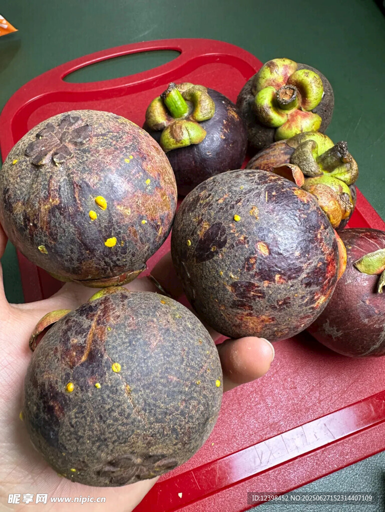 山竹