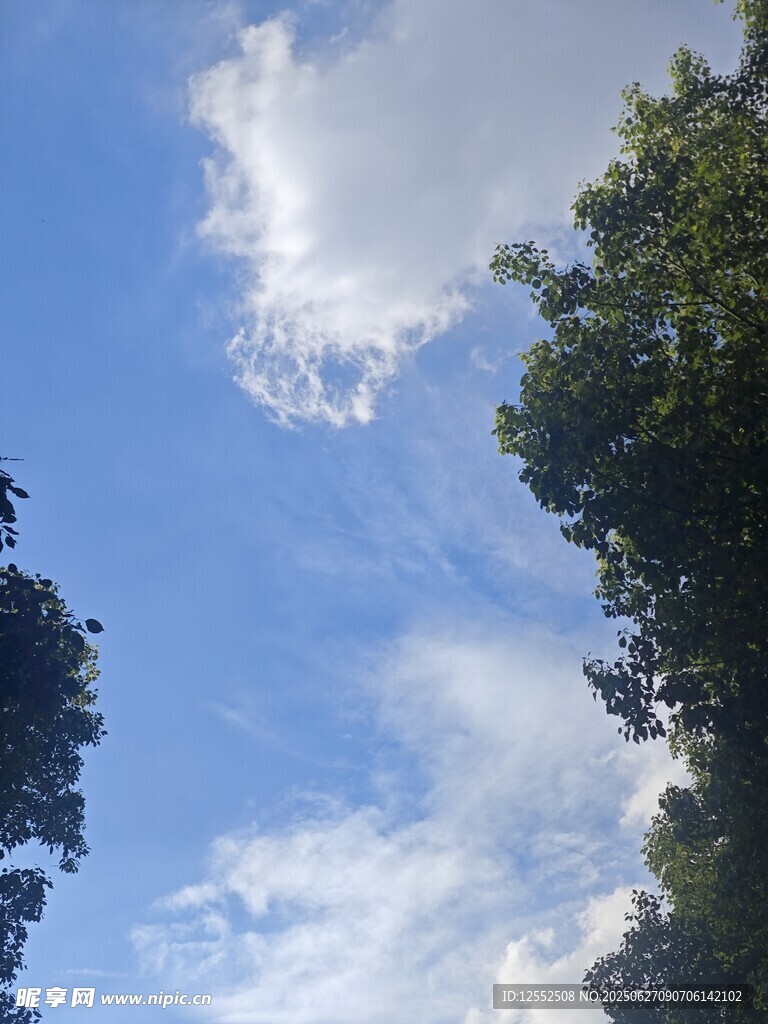 蓝天绿树间的白云美景