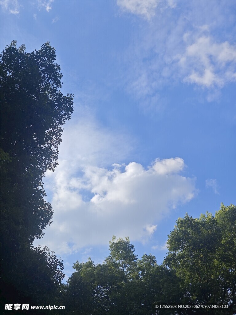 蓝天绿树间的白云美景