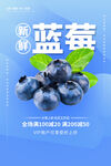 蓝莓水果