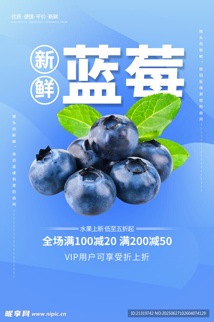 蓝莓水果