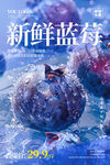 蓝莓水果
