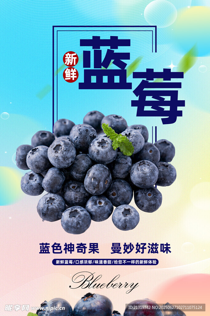 新鲜蓝莓水果