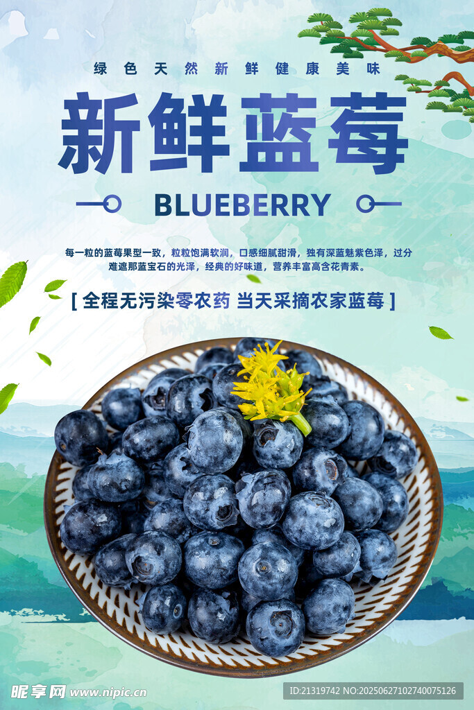 新鲜蓝莓