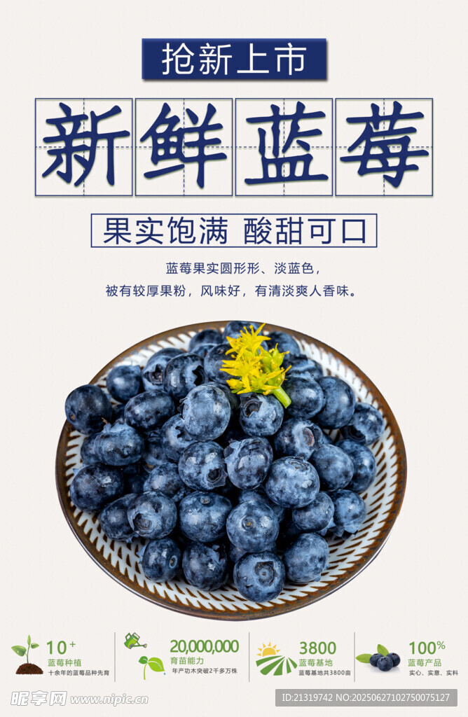 新鲜蓝莓