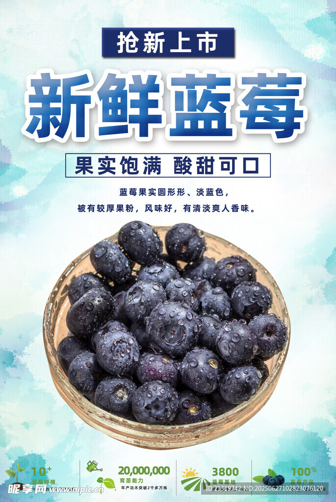 新鲜蓝莓