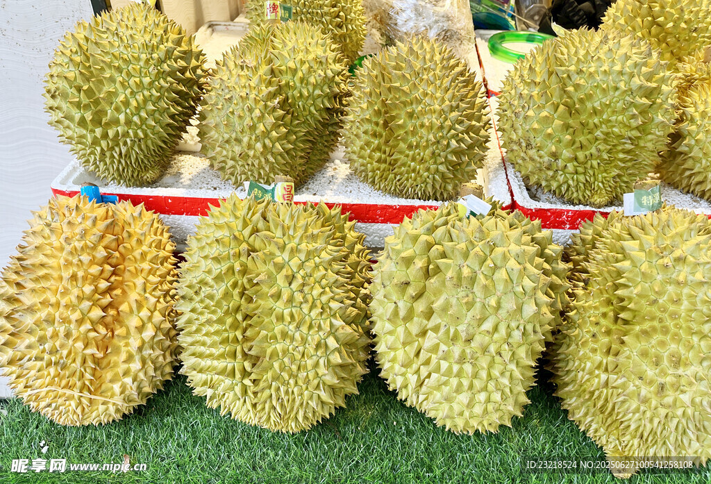 新鲜榴莲