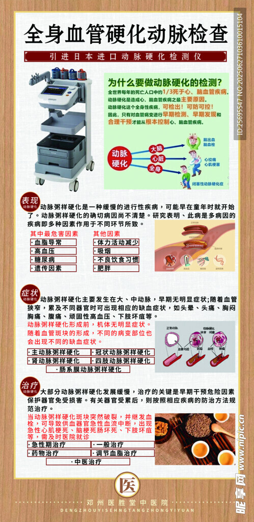 动脉