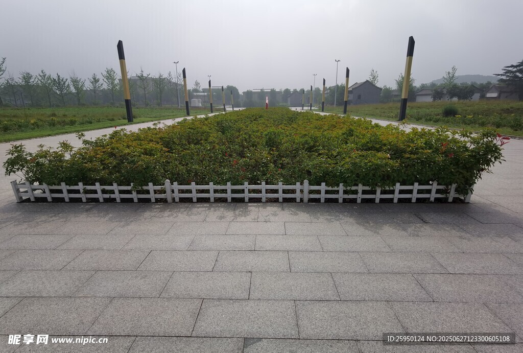城市广场中的绿植景观