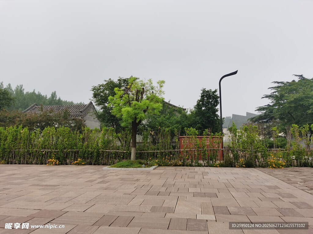 户外空旷的绿植广场场景