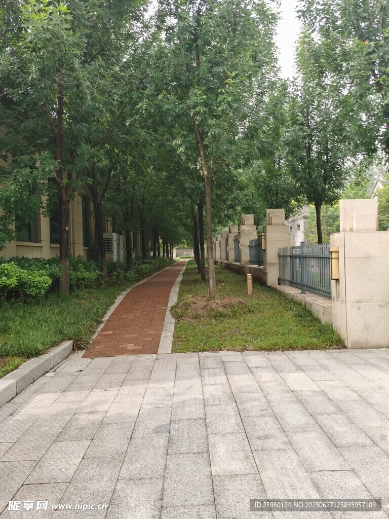 小区内幽静的林荫步道
