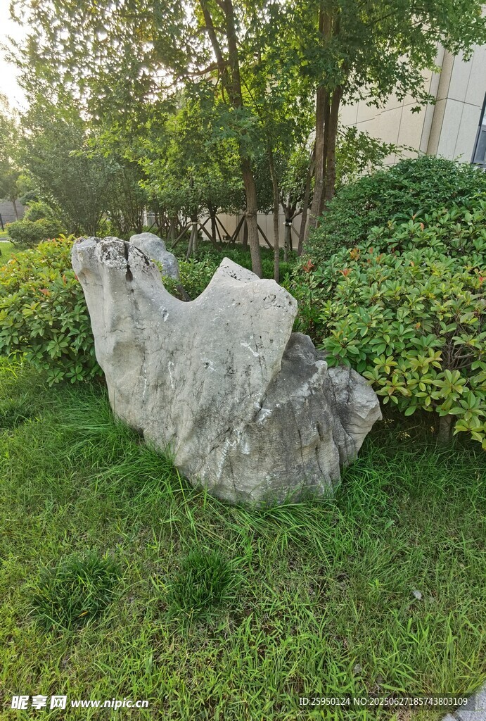 园林景观中的独特巨石