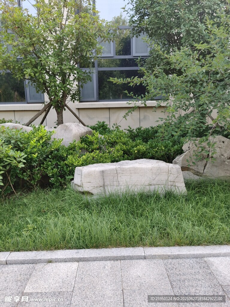 庭院绿植与景石景观