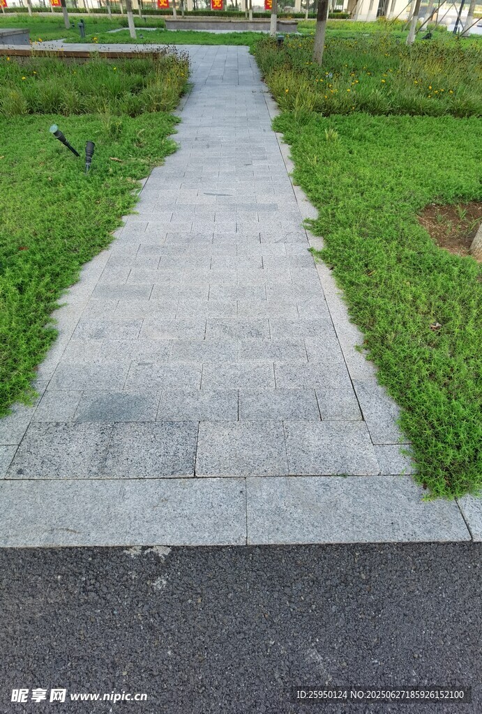 乡间小径绿意环绕