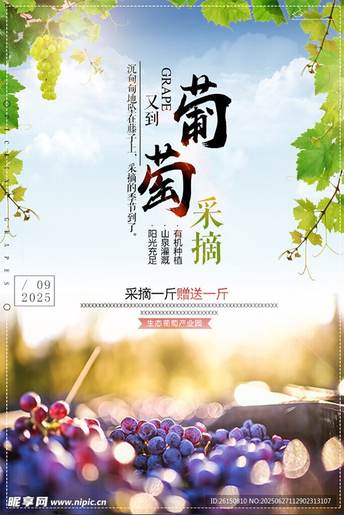 葡萄海报