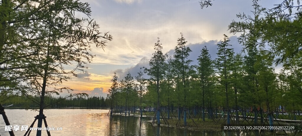 湖畔树林黄昏美景