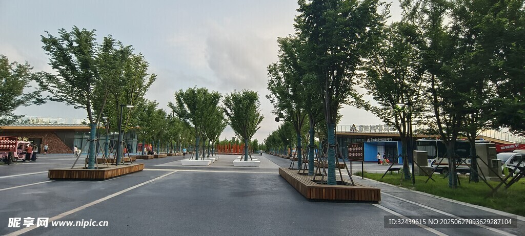 宽阔林荫路城市好风光