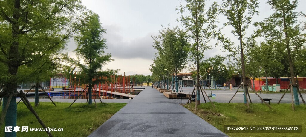 雨后清新的林间小道