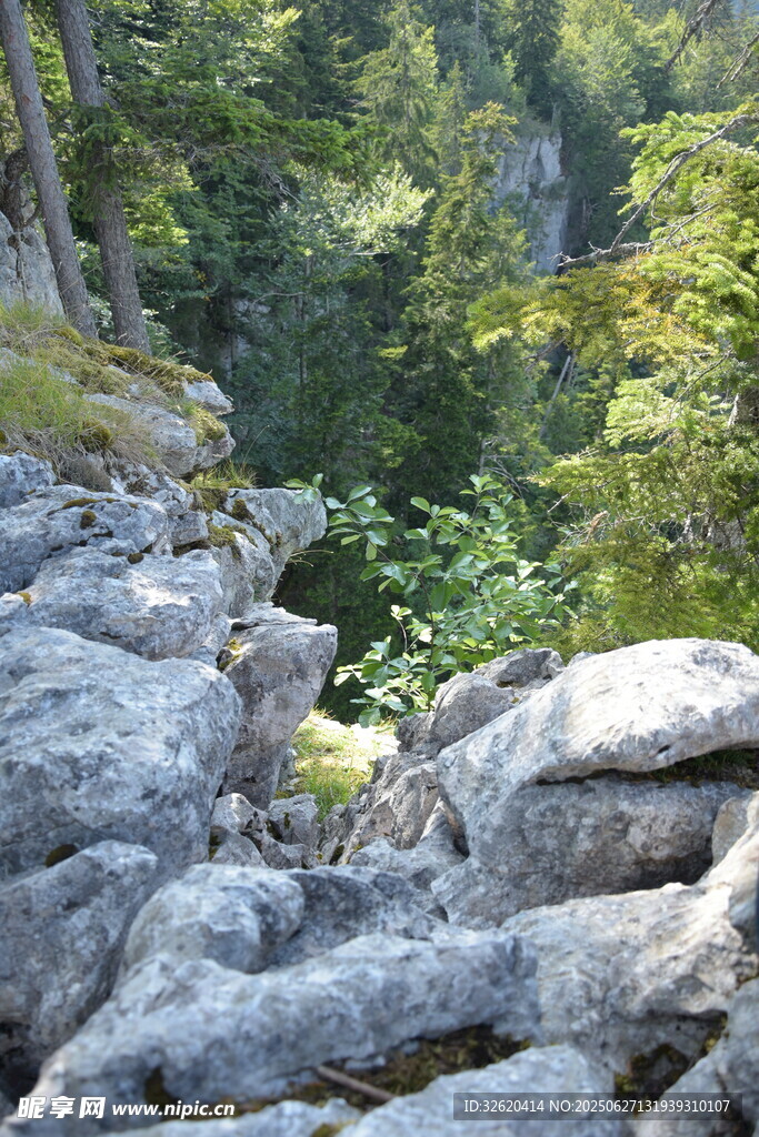 山间嶙峋岩石与葱郁植被