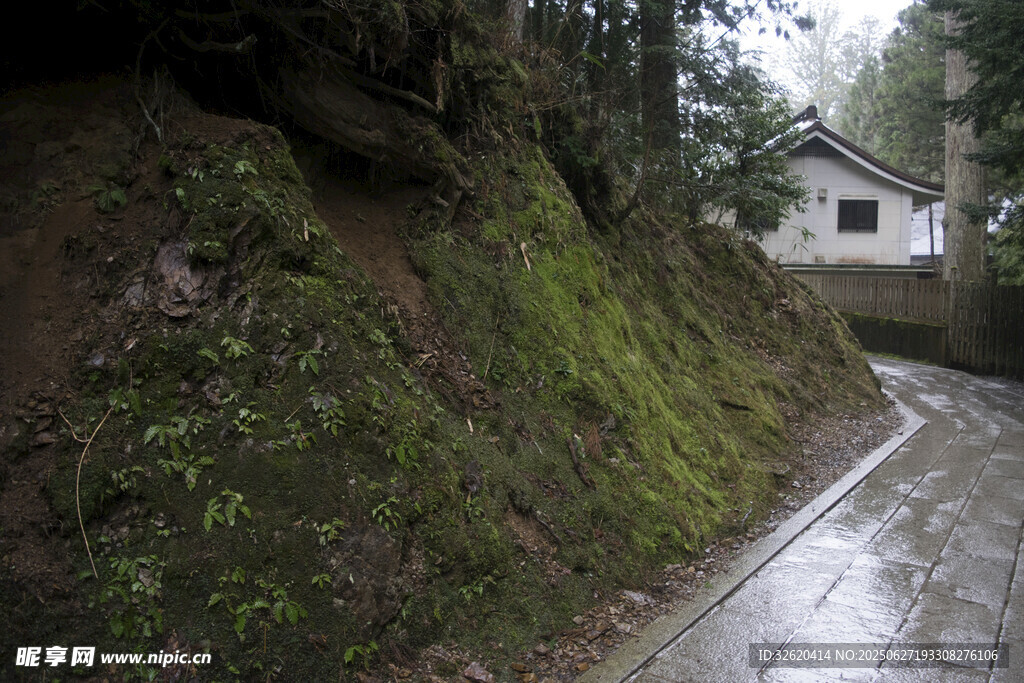 山间湿滑小路旁的小屋