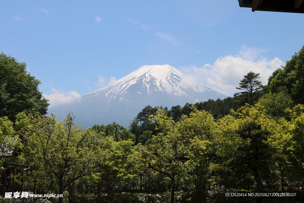林间远眺富士山美景