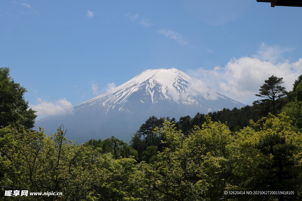 富士山景 绿树环绕的雪峰