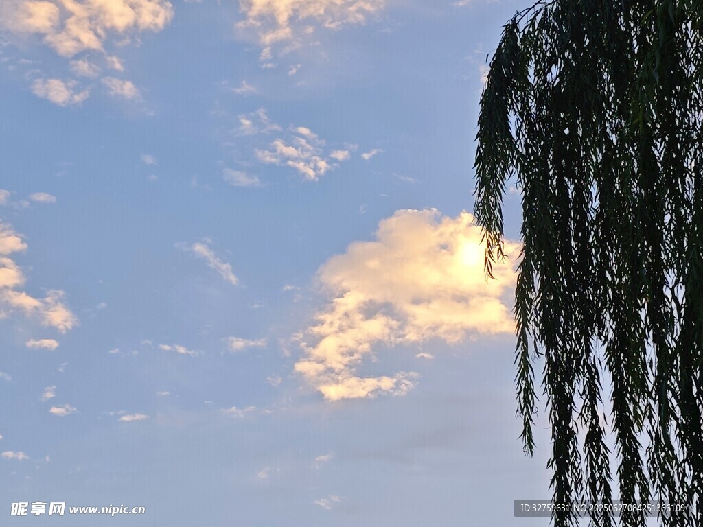 夕阳下的垂柳与天空