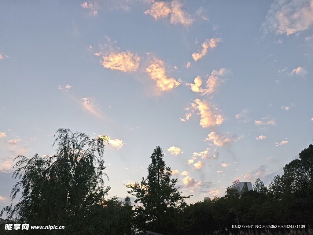 夕阳下的树梢与绚丽云彩