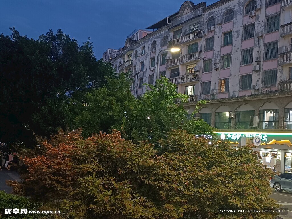 夜幕下的建筑与绿植景观