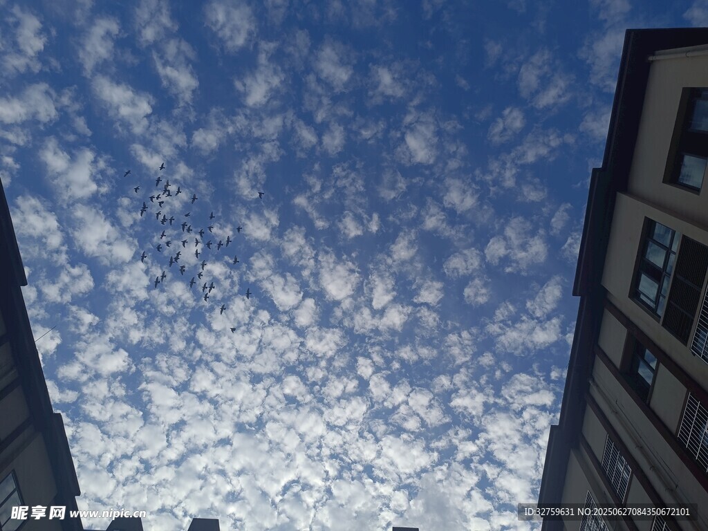 城市上空的蓝天白云