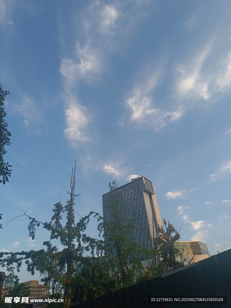 蓝天高楼旁的葱郁树木