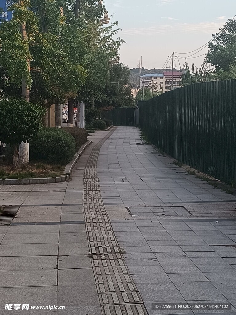宁静的城市林荫步道