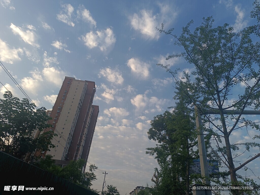 高楼绿树间的晴朗天空