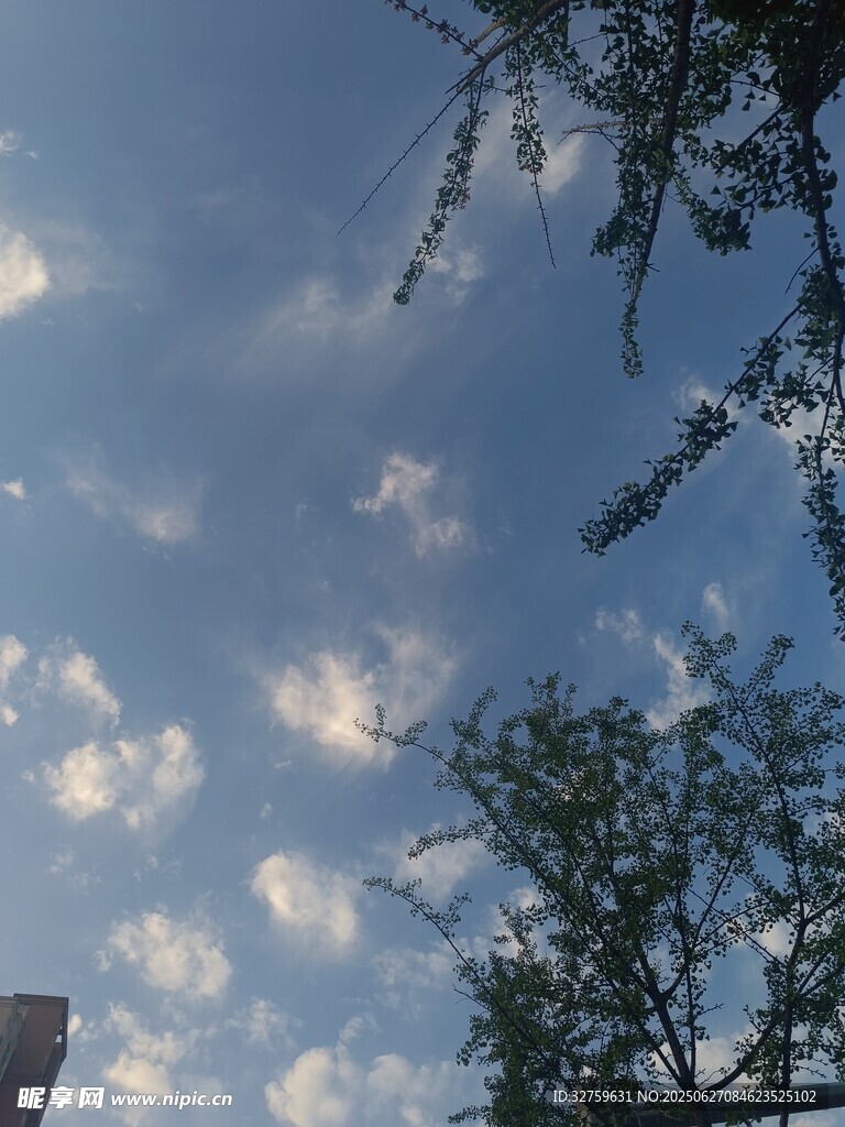 蓝天绿树间的云朵美景