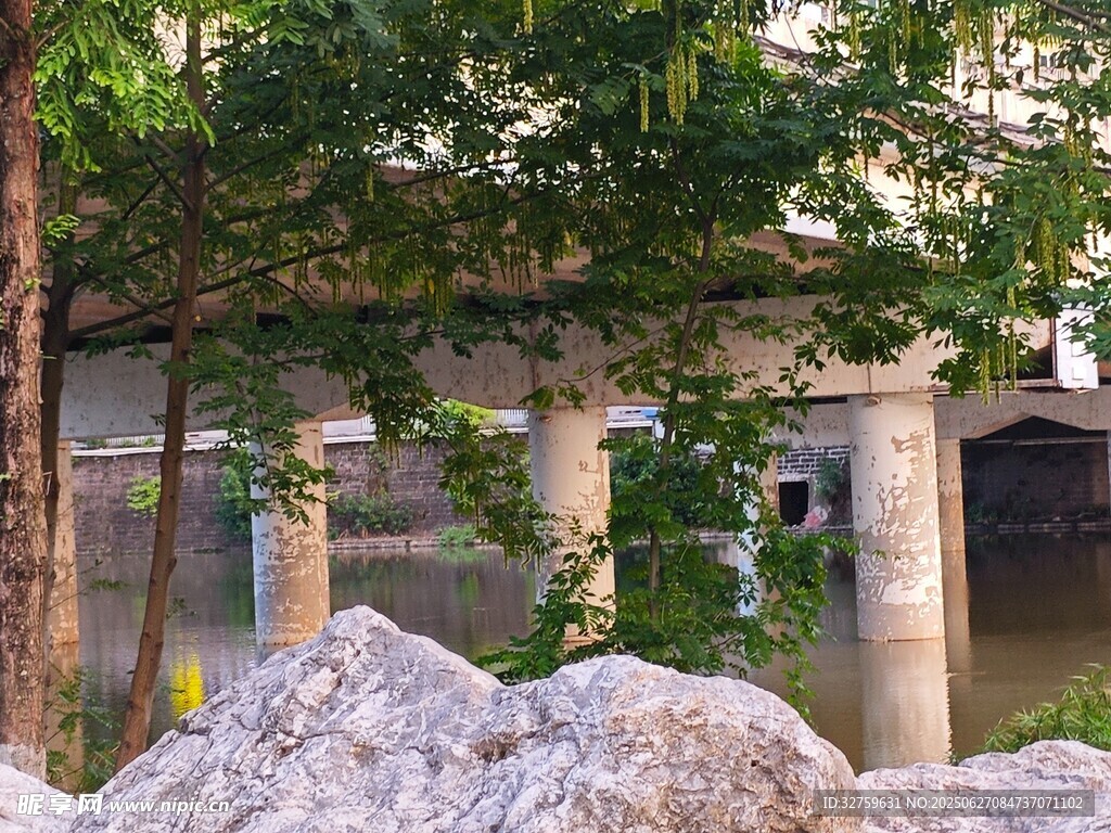 河畔石桥旁的绿树与顽石