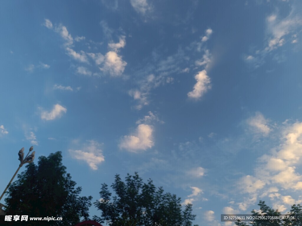 蓝天绿树间的美丽云彩