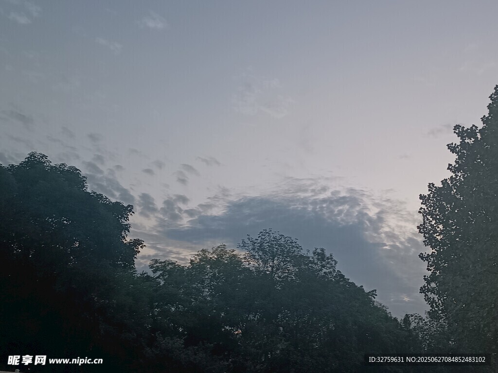 黄昏树林间的天空景色