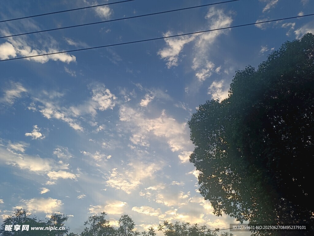 蓝天绿树间的美丽云彩