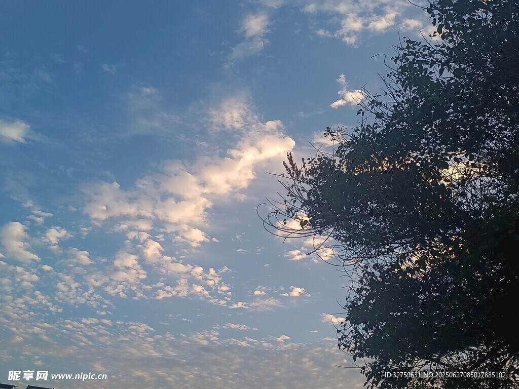 夕阳下的树与梦幻云彩