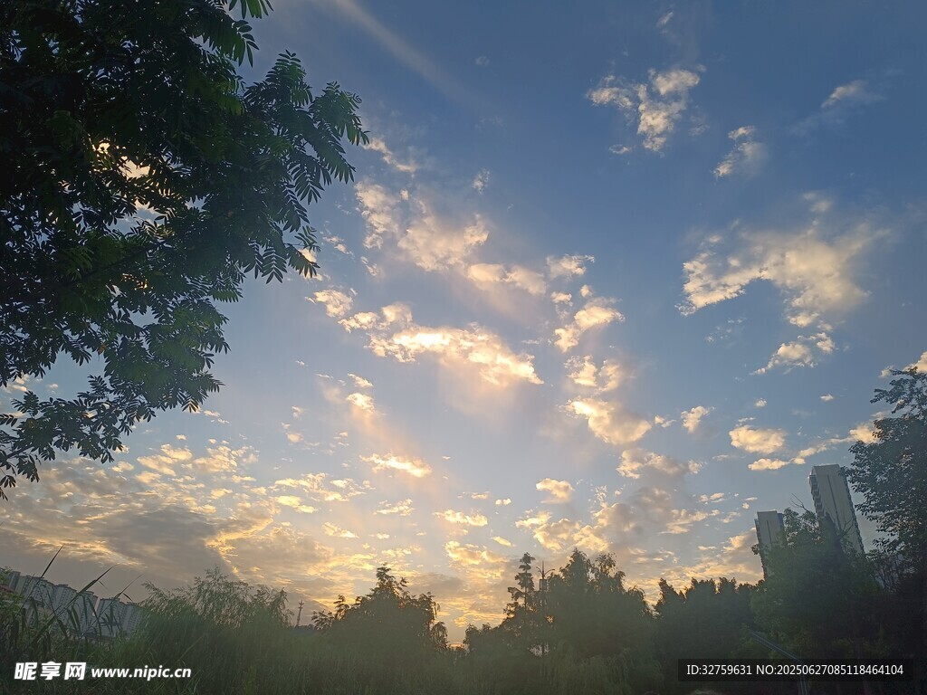 黄昏时分的树林与天空美景