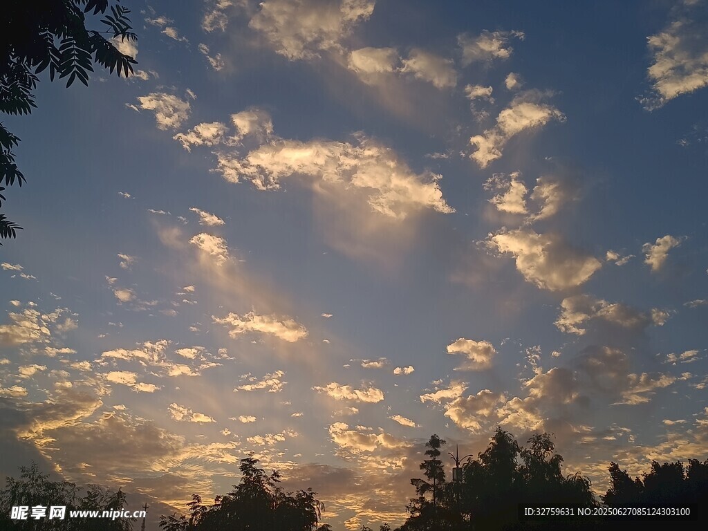 夕阳下的天空与树梢美景