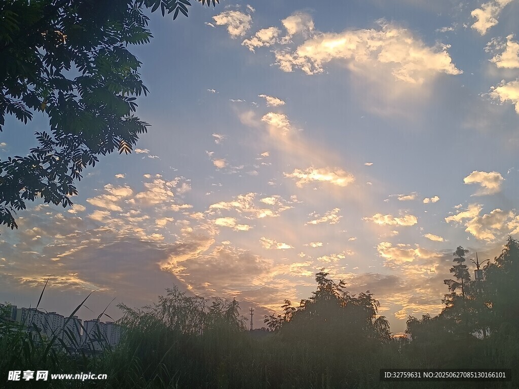 夕阳下的天空与树木美景