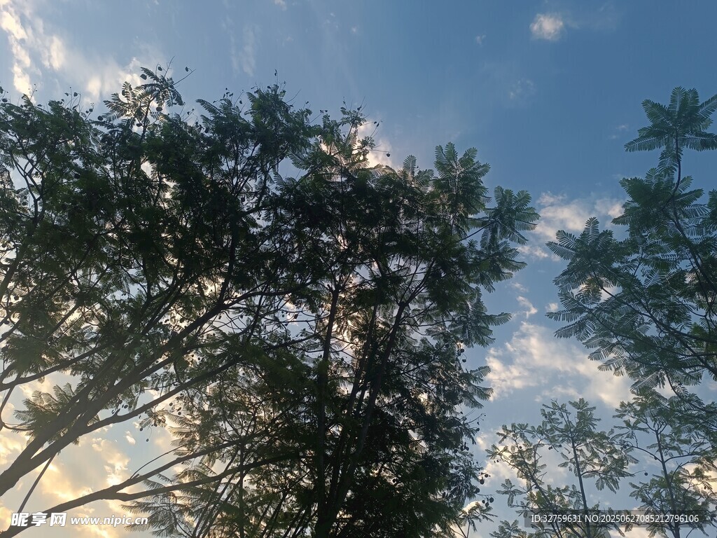 蓝天绿树间的自然景致