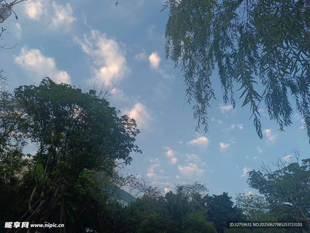 蓝天绿树间的自然景致