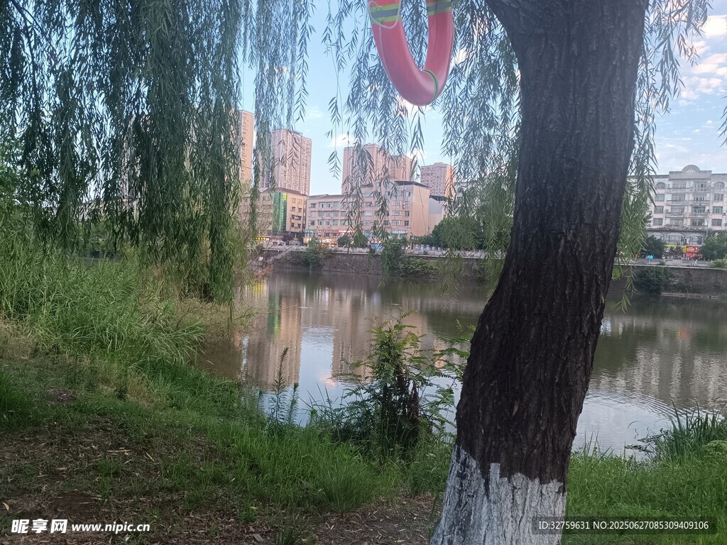 湖畔垂柳风景