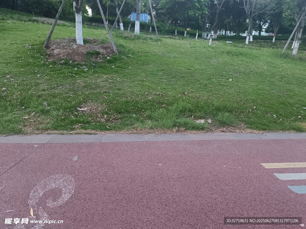 户外红色步道旁的绿草地