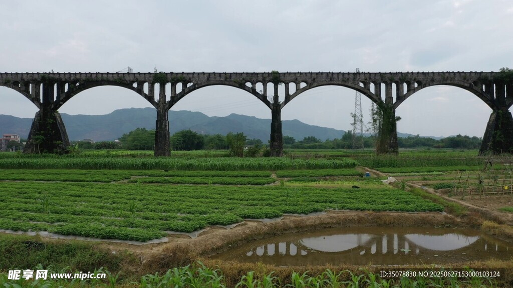 田野上的拱形铁路桥