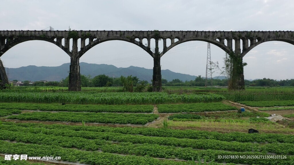 田野上的拱形桥梁景观
