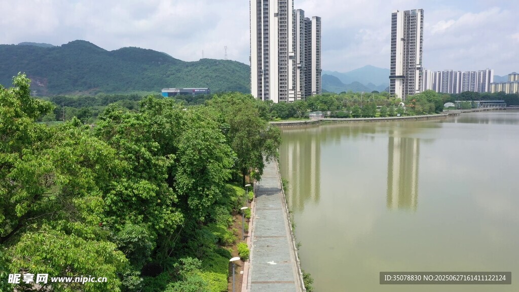 河畔高楼与葱郁绿植景观